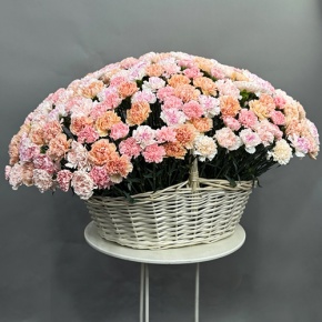 Композиция в корзине из 251 диантуса микс в Фрязино
