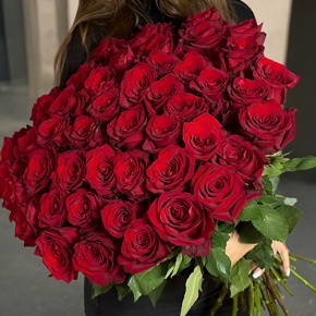 Букет 51 роза Эквадор Эксплорер (60 см) в Фрязино