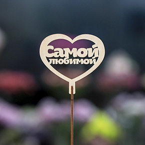 Топпер Самой Любимой в Фрязино