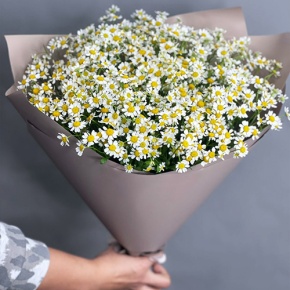 Букет из 17 ромашек танацетум в Фрязино