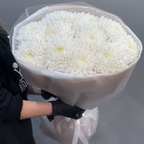 Букет из 11 белых хризантем  в Фрязино