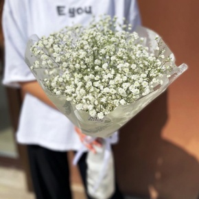 Букет из 5 белых гипсофил в Фрязино