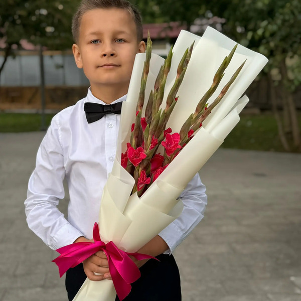 Букет на 1 сентября из 7 малиновых гладиолусов в Фрязино