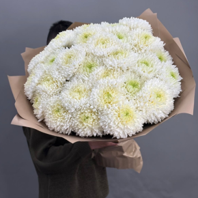 Букет из 27 хризантем Магнум в Фрязино