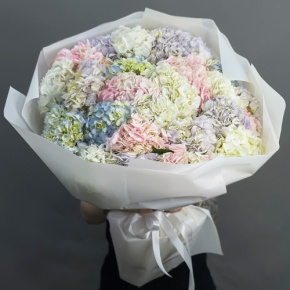 Букет из 23 гортензий микс в Фрязино