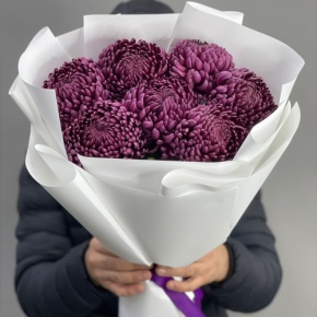 Букет "Винная легенда" из 7 хризантем Бигоуди в Фрязино