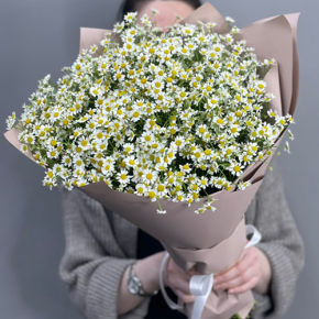 Букет из 17 полевых ромашек в Фрязино