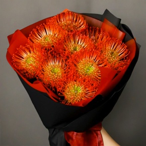 Букет из 9 лейко в Фрязино