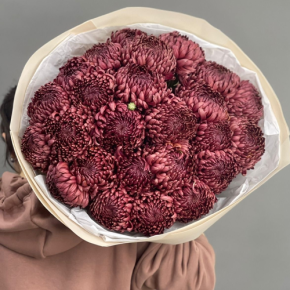 Букет 21 шоколадной хризантемы Бигоуди в Фрязино