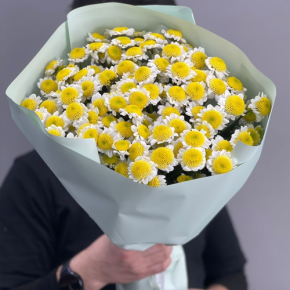 Букет "Моё солнышко" из 17 хризантем сантини  в Фрязино