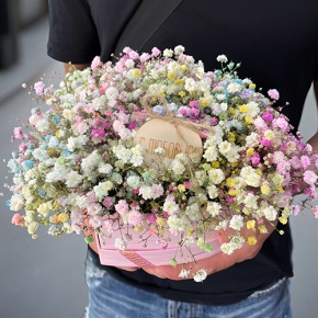 Композиция в коробке сердца из радужных гипсофил с топпером в Фрязино