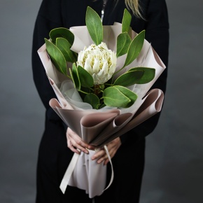 Букет "Великолепная" из экзотичной протеи в Фрязино