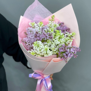 Букет из 11 веток сирени микс в Фрязино