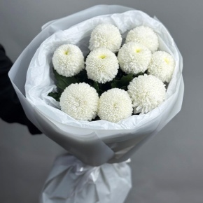 Букет из 9 белых хризантем Момоко в Фрязино