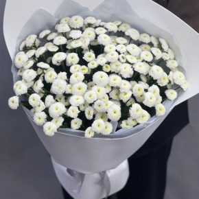Букет "Белая дымка" из 25 хризантем сантини в Фрязино