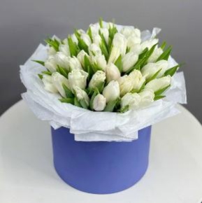 Букет из 49 белых тюльпанов в синей коробке в Фрязино