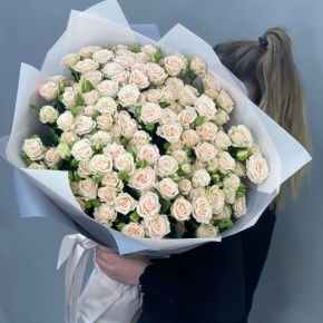 Букет из 25 кремовых кустовых роз (70 см) в Фрязино