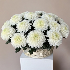Композиция в корзине из 25 хризантем Магнум в Фрязино
