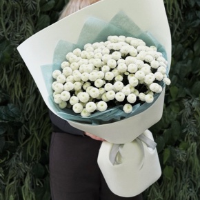 Букет из 25 хризантем Ньютон в Фрязино