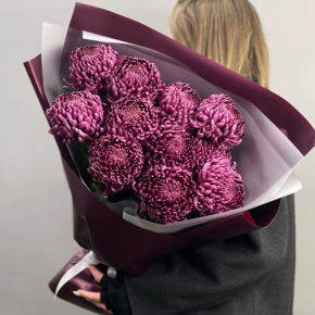 Букет "Изобилие" из 11 винных хризантем Бигоуди в Фрязино