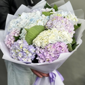 Букет из 9 Голландских гортензий микс в Фрязино