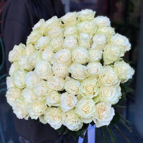 Букет из 51 розы Эквадор Мондиаль под ленту (80 см) в Фрязино