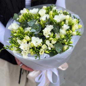 Букет из 51 белой фрезии в Фрязино