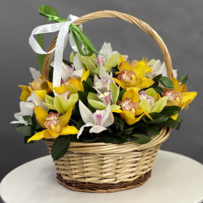 Композиция в корзине из 25 орхидей микс в Фрязино