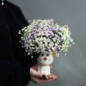 Композиция из гипсофил в керамическом кашпо в Фрязино