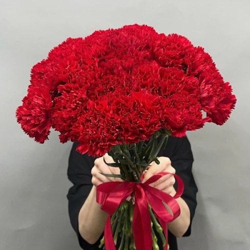 Букет из 20 красных гвоздик под ленту в Фрязино