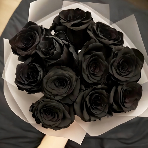 Букет "Черная королева" из 11 черных роз Эквадор (60 см) в Фрязино