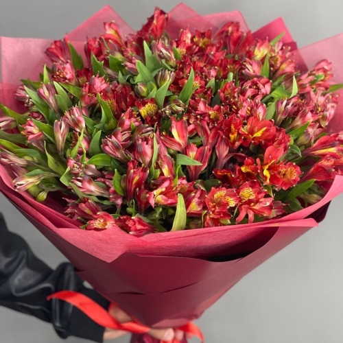 Монобукет из 25 красных альстромерий в Фрязино
