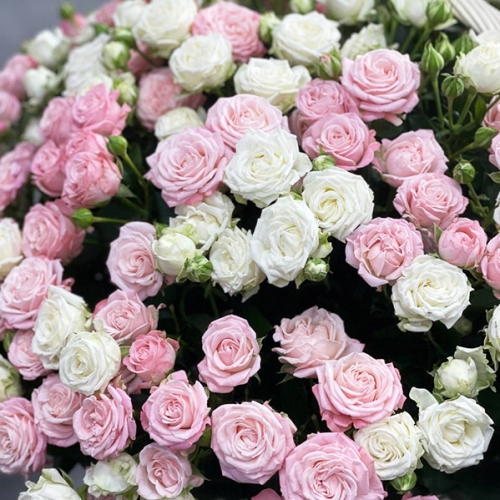 Композиция в корзине из 101 кустовой пионовидной розы в Фрязино