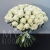 Букет 75 белых роз Эквадор Мондиаль (80 см) в Фрязино Букет 75 белых роз Эквадор Мондиаль (80 см) в Фрязино