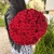 Букет 51 красной розы 50 см в Фрязино Букет 51 красной розы 50 см в Фрязино