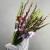 Букет из 25 гладиолусов микс в Фрязино Букет из 25 гладиолусов микс в Фрязино