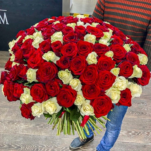 Букет 151 роза красный и белый микс (60 см) в Фрязино