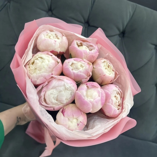 Букет из 9 нежных пионов Гардения в Фрязино
