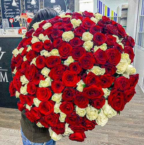 Букет 151 роза красный и белый микс (60 см) в Фрязино
