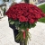 Букет из 101 красной розы (90 см) в Фрязино Букет из 101 красной розы (90 см) в Фрязино