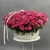 Композиция в корзине из 101 кустовой малиновой розы  в Фрязино