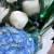 Букет из голубого дельфиниума, гортензии, пионов и эустомы в Фрязино