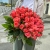 Букет 51 роза коралл (60 см) в Фрязино Букет 51 роза коралл (60 см) в Фрязино