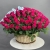 Композиция в корзине из 151 малиновой розы в Фрязино Композиция в корзине из 151 малиновой розы в Фрязино