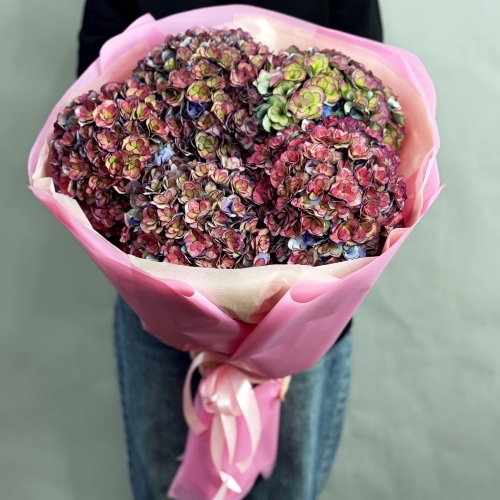 Букет из 5 космических Голландских гортензий в Фрязино