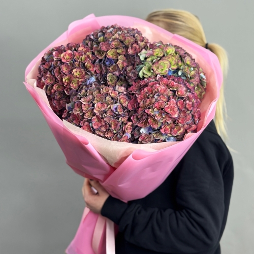 Букет из 5 космических Голландских гортензий в Фрязино